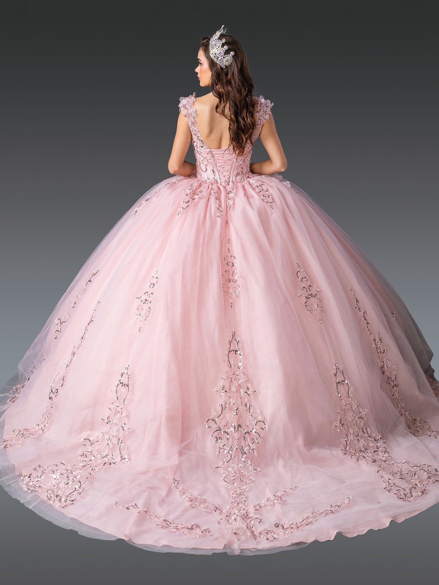 Elegant V-Neck Ball Gown Quinceañera Dress with Embroidered Lace Appliqués and Full Skirt Quinceanera Dress