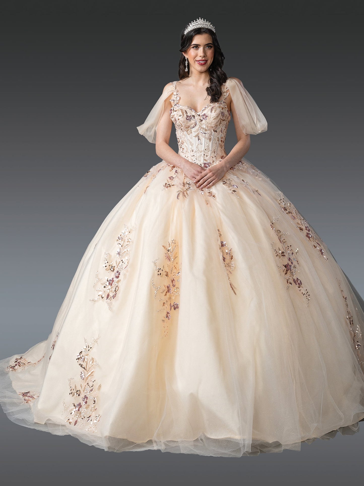 Luxurious V-Neck Ball Gown Quinceañera Dress with Floral Embroidery and Sheer Puffed Sleeves Quinceanera Dress