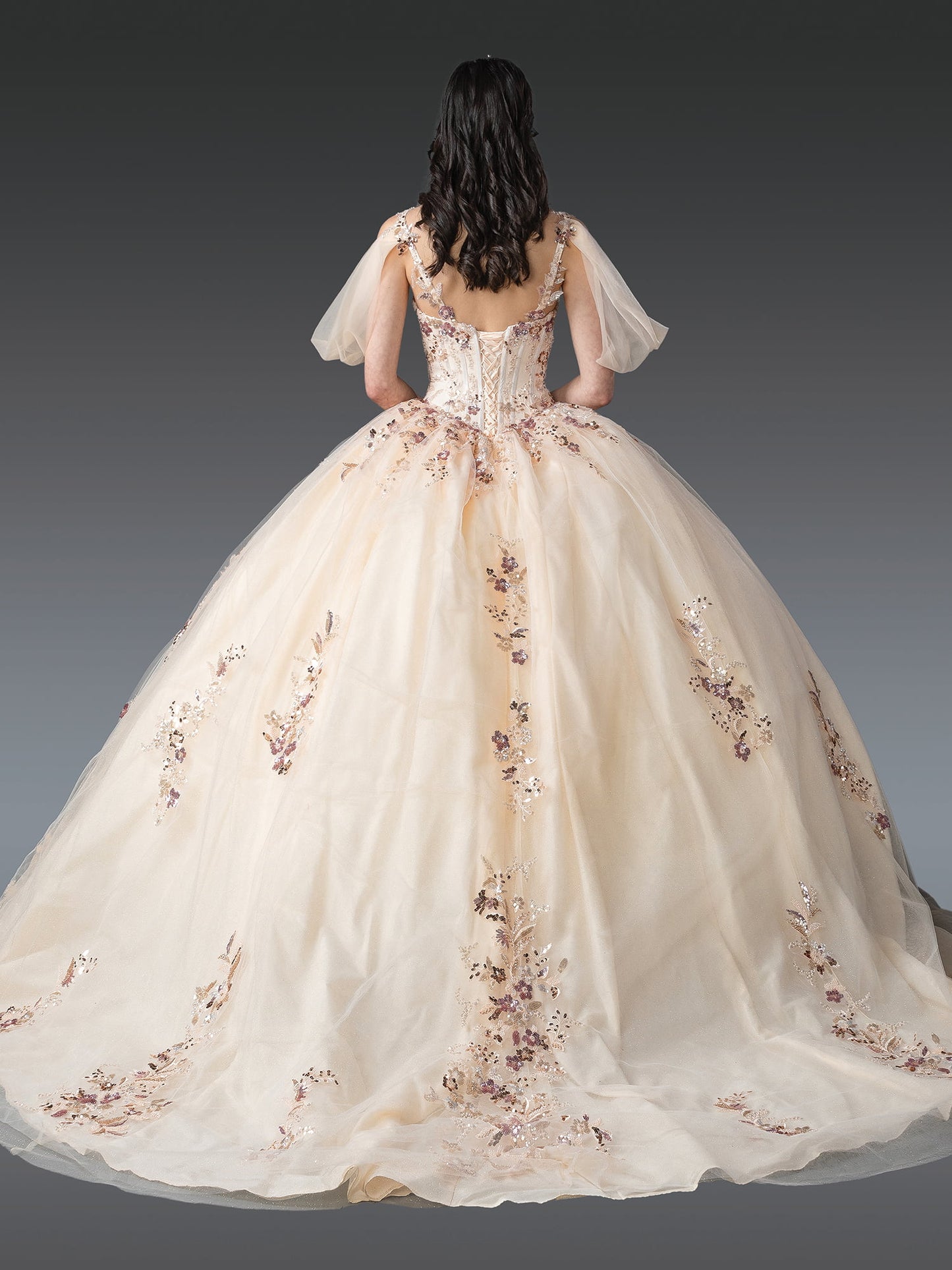 Luxurious V-Neck Ball Gown Quinceañera Dress with Floral Embroidery and Sheer Puffed Sleeves Quinceanera Dress