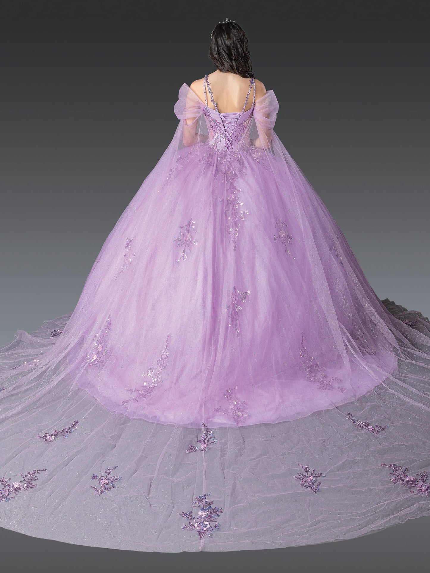 Sophisticated Ball Gown Quinceañera Dress with Sheer Puffed Sleeves and Embellished Floral Appliqués Quinceanera Dress