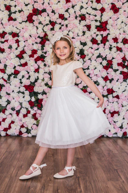 Sequin Mesh Pleated Dress