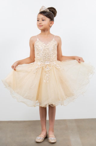 STYLE 5125 Double spaghetti rhinestone embroidered tulle dress