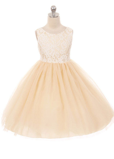 Lace Illusion Dress