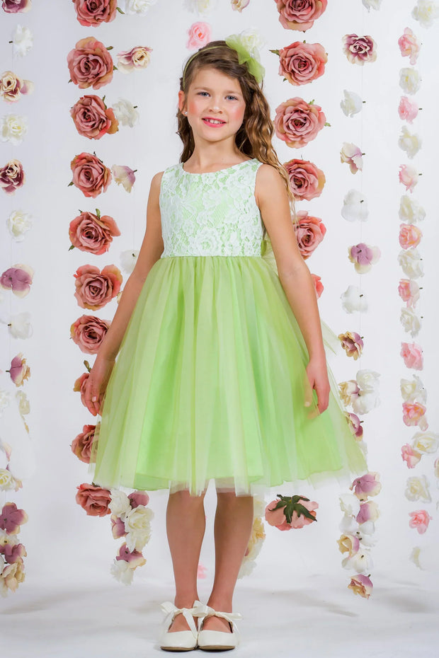 Sale! Lace Illusion Dress/Green