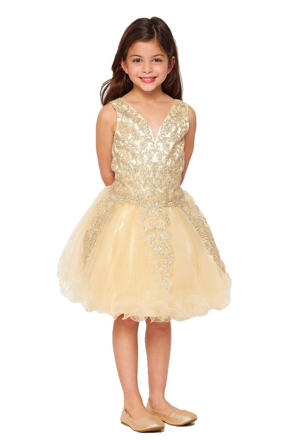 Style #5110 Elegant illusion tulle short dress