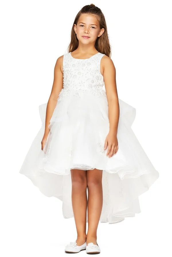 Elegant hand-crafted lace applique dress